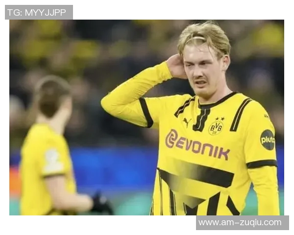 布兰特谈南部球队影响赛季表现多特有潜力待挖掘