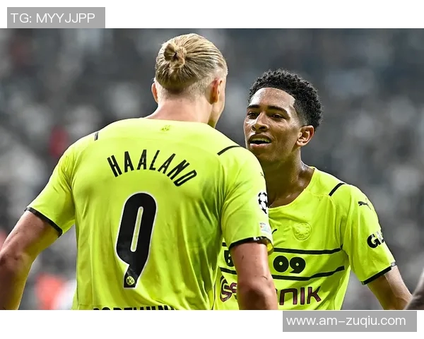 布兰特谈南部球队影响赛季表现多特有潜力待挖掘